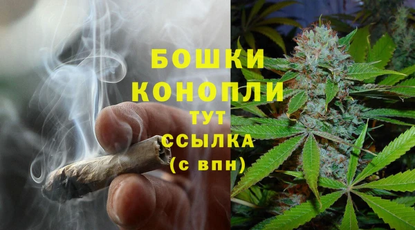 PSILOCYBIN Алексин