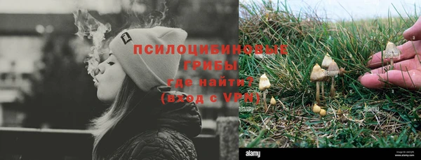 PSILOCYBIN Алексин